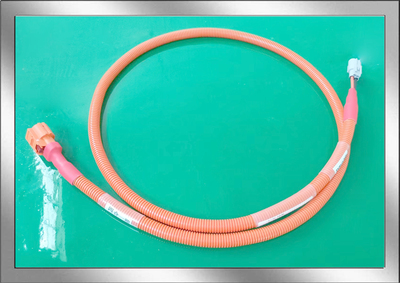 电动车高压线束产品五