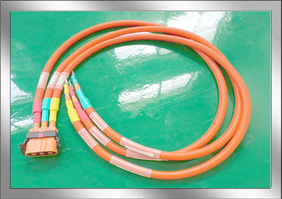 电动车高压线束产品三